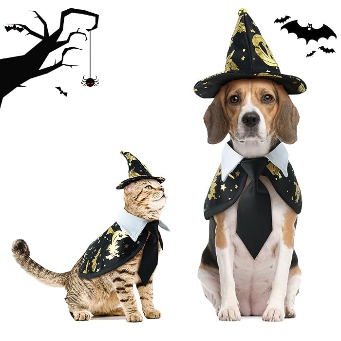Pet Wizard Costume Set - Halloween for Cats & Dogs