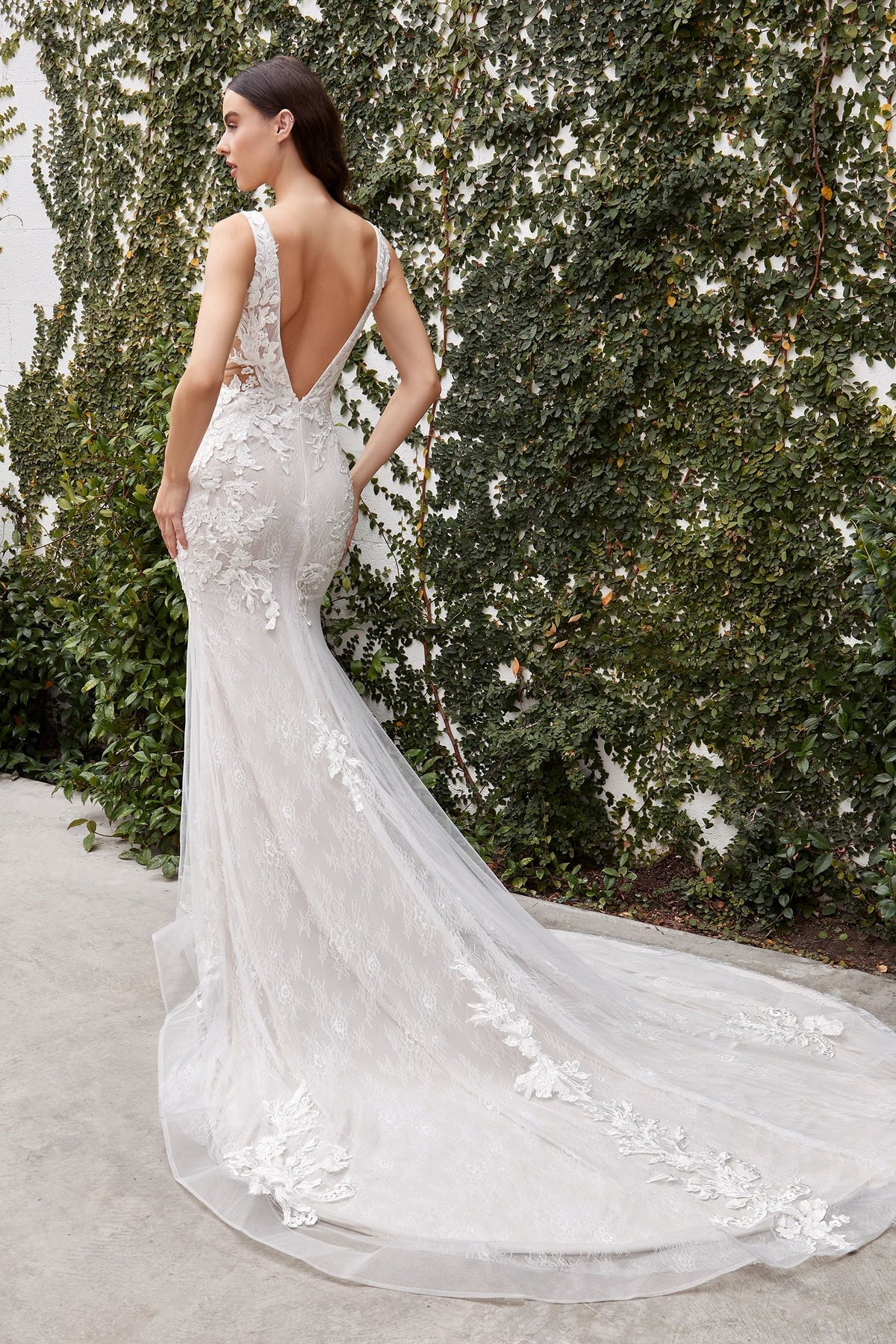 Avery Lace Illusion V-Neck Wedding Dress