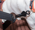 Dog Safety Seat Belt