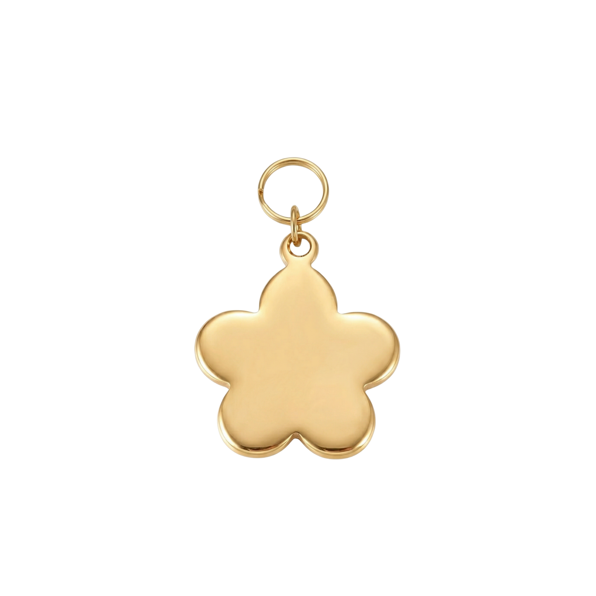 Enchanted Mushroom Pet ID Tag & Charm