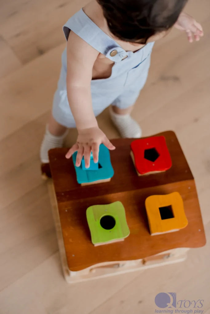 QToys Australia (USA) Sorting Cottage & Play House