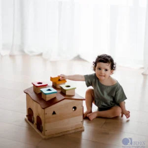 QToys Australia (USA) Sorting Cottage & Play House