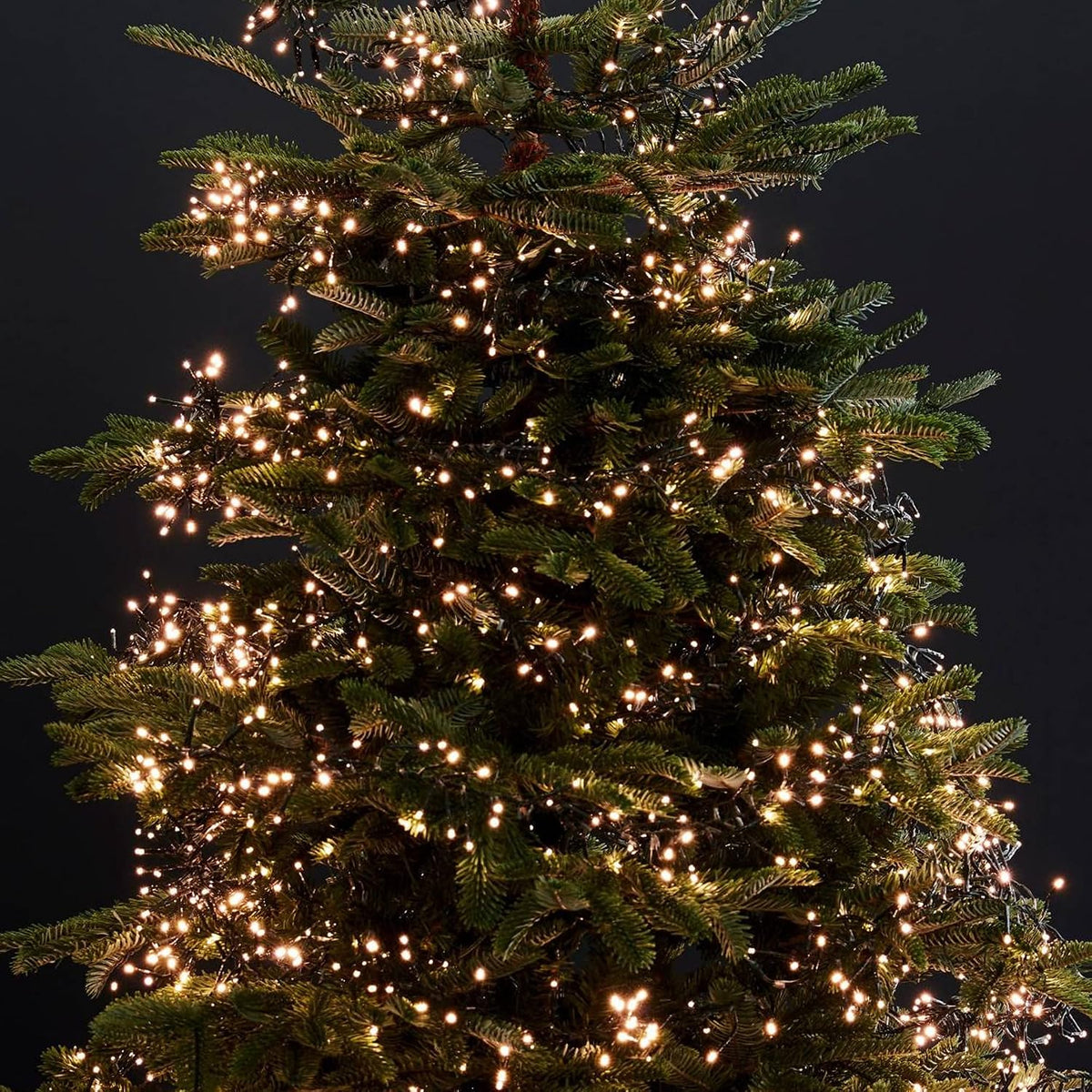 82FT Warm White String Lights with 1000 LEDs