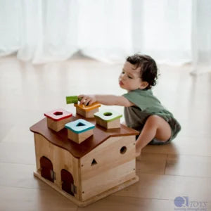 QToys Australia (USA) Sorting Cottage & Play House