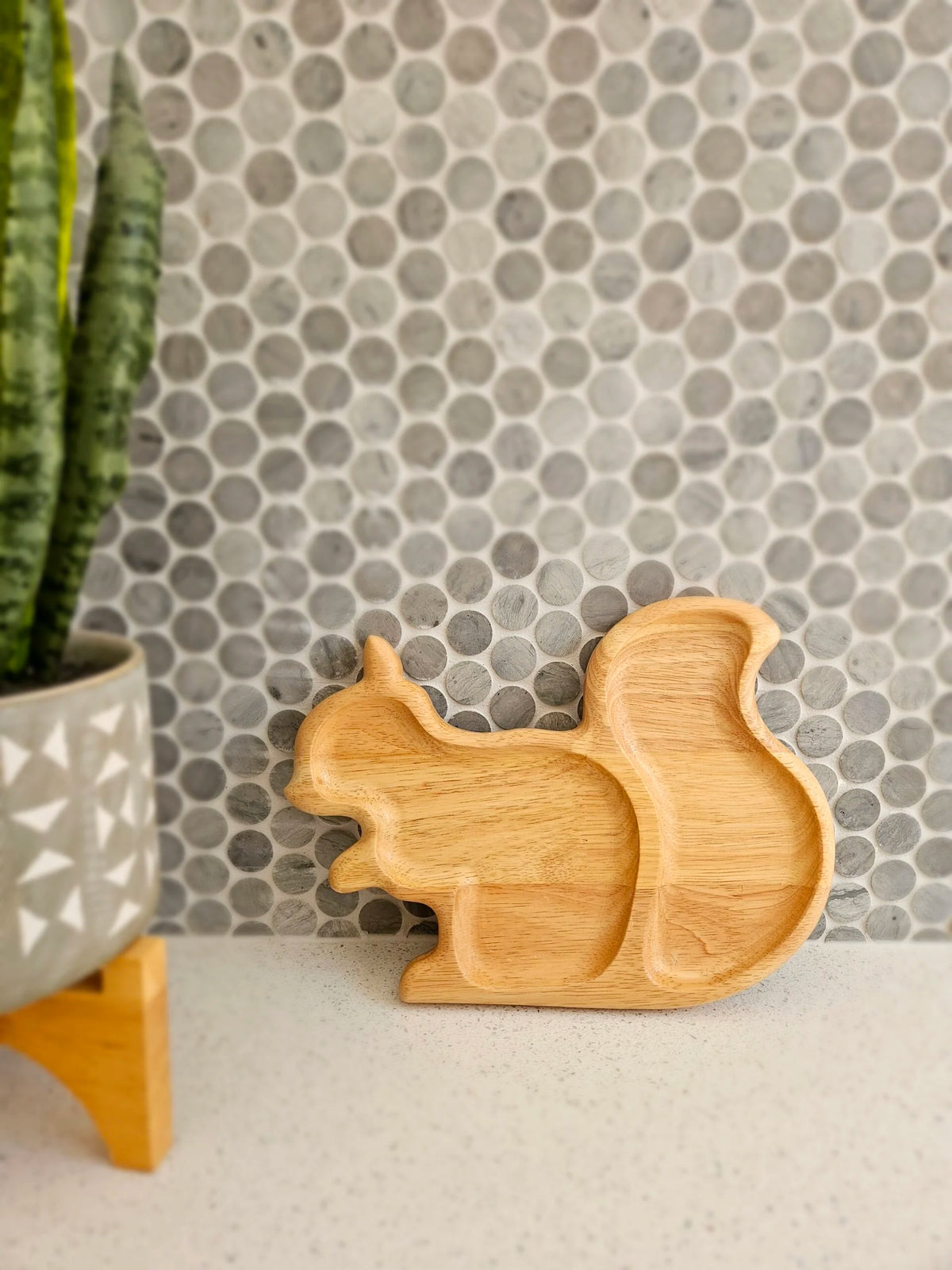 QToys Australia (USA) Squirrel tray